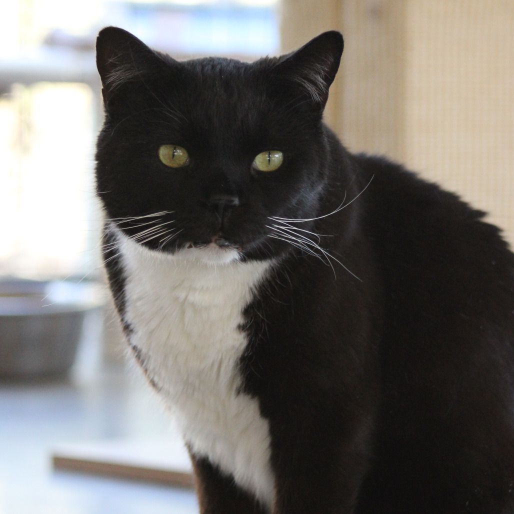 Hello my name is Aaron