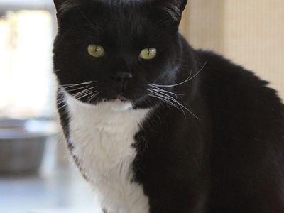 Hello my name is Aaron