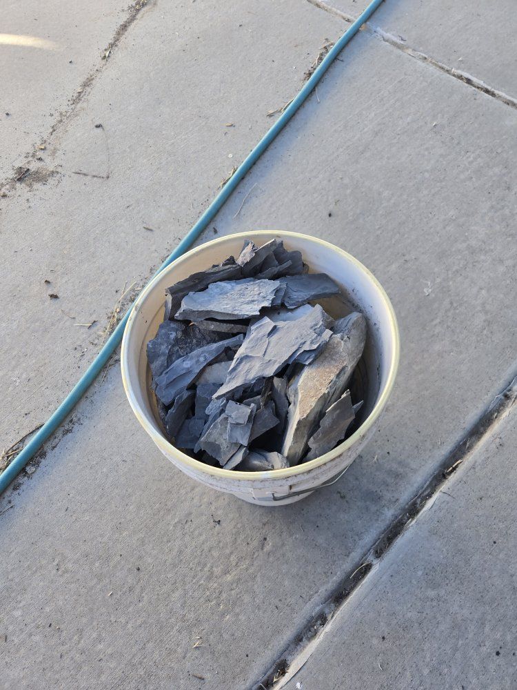 Bucket of Trilobites