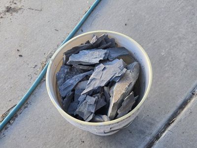 Bucket of Trilobites