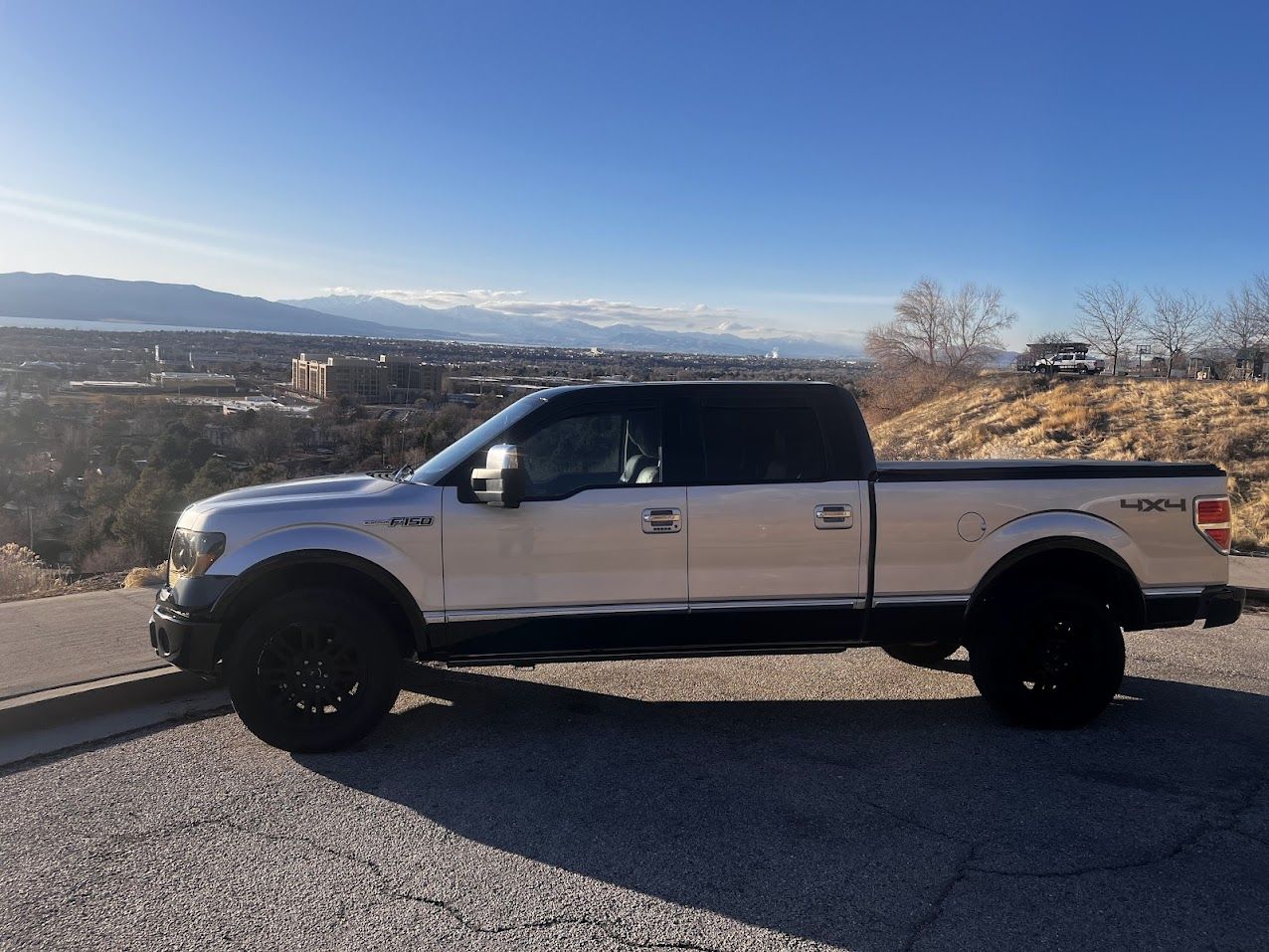 2010 Ford F-150 Platinum