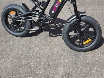 E Bike 750W Windone E2 Fat Tire Off Road Adventures pedal assist electric bike