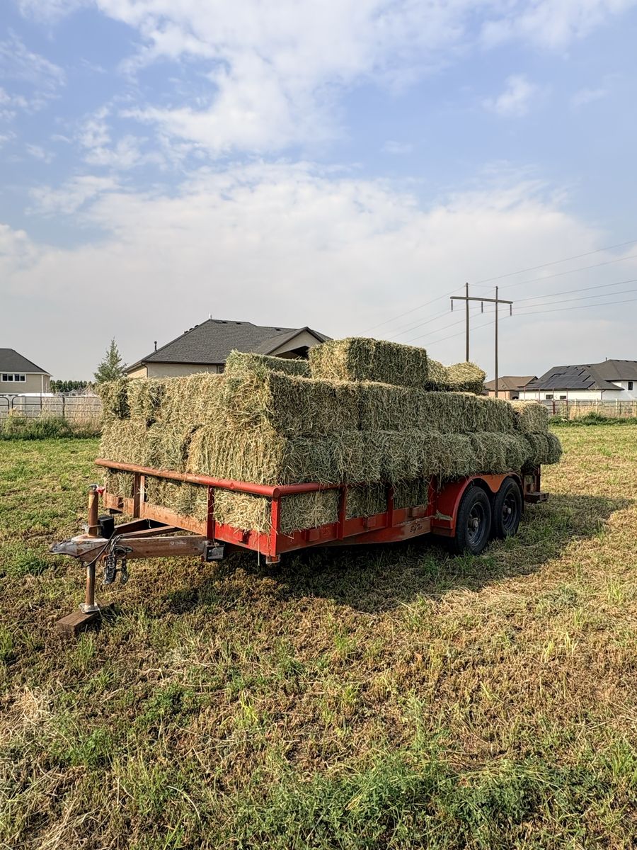 Alfalfa/Grass Hay