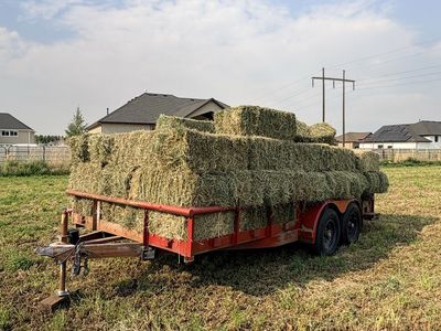 Alfalfa/Grass Hay