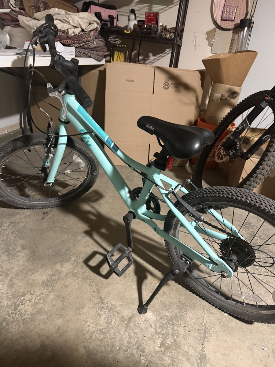 Liv Enchant 20" Girls' Mountain Bike – Lightweight & Ready to Ride!
