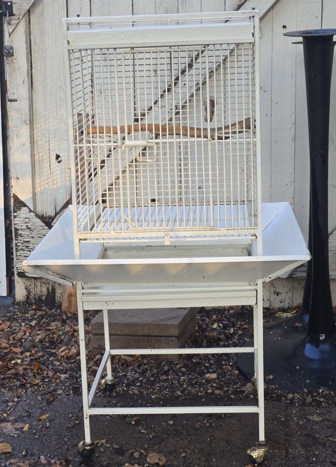 Bird Cage