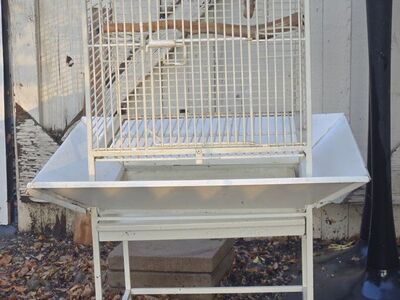 Bird Cage