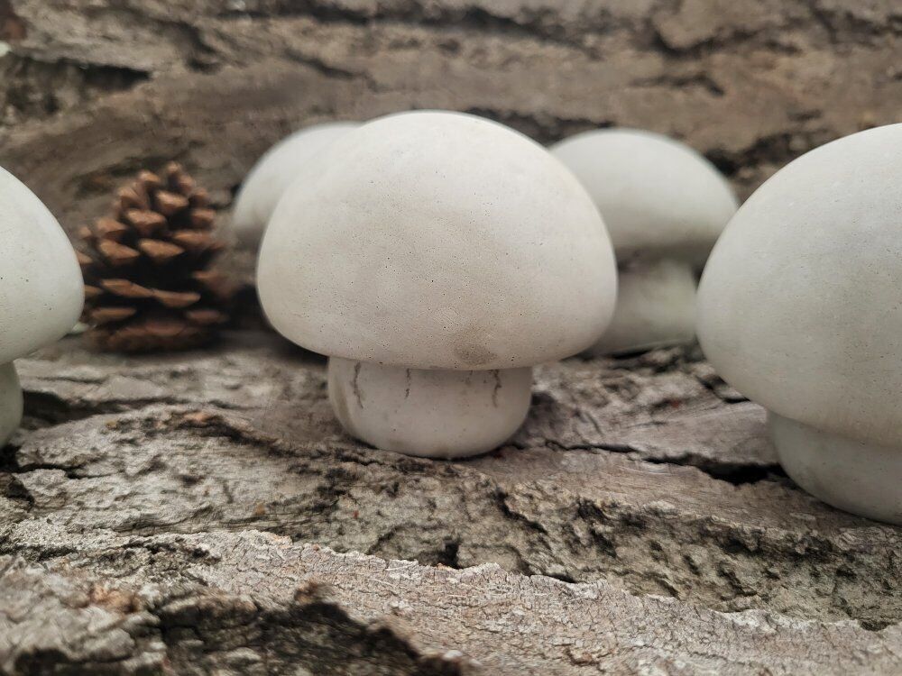 Mushroom, Statuary, Smooth-Textured, 2.5", Desktop