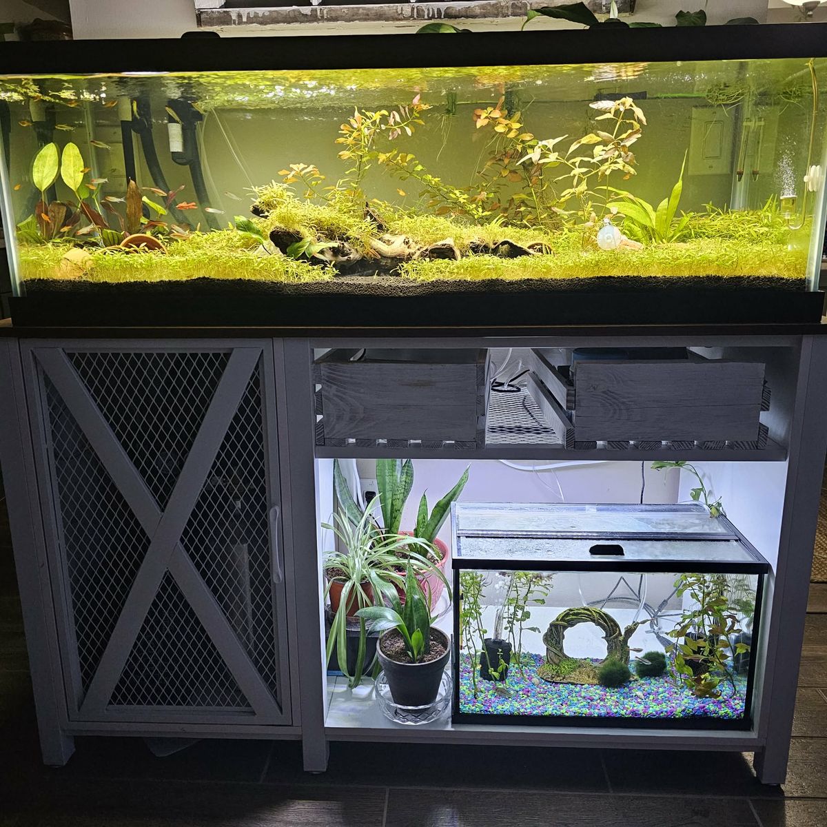 60 Gallon Aqueon Glass Fish Tank - No Leaks, Clean Glass + Free Extras