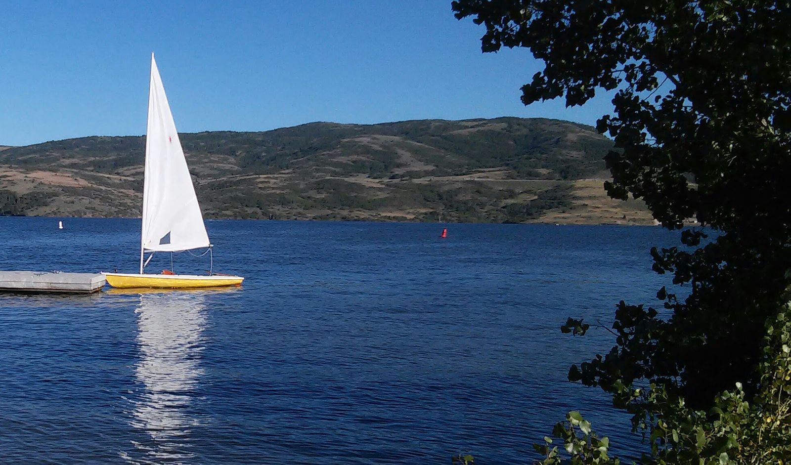 Laser Sailboat with Racing Setup