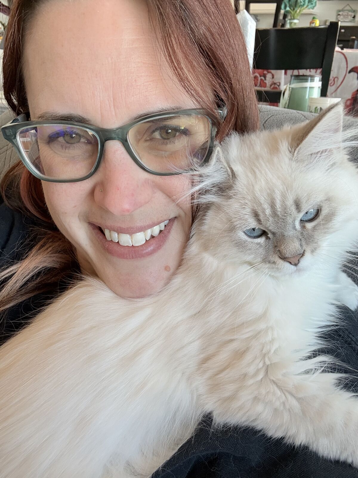 Home raised Siberian kittens