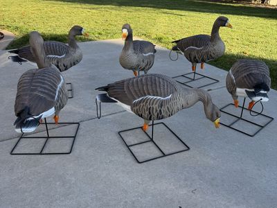 Goose decoys. GHG Pro Grade XD speck goose