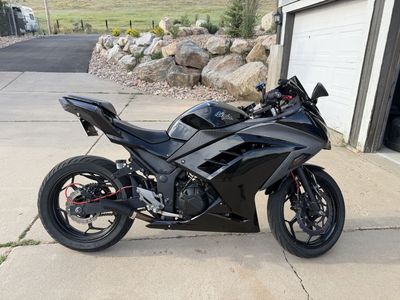 2014 Ninja 300