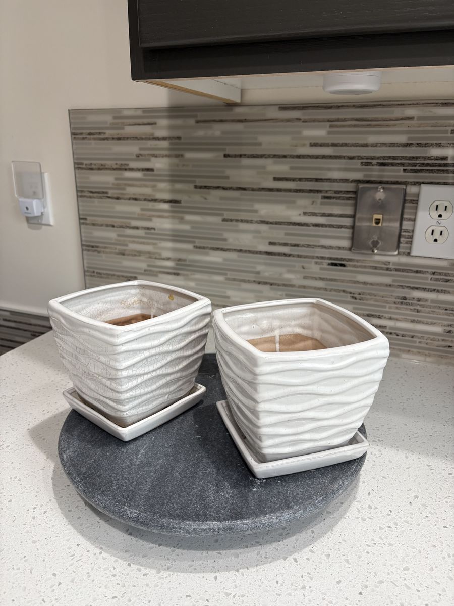 White ceramic planter pots