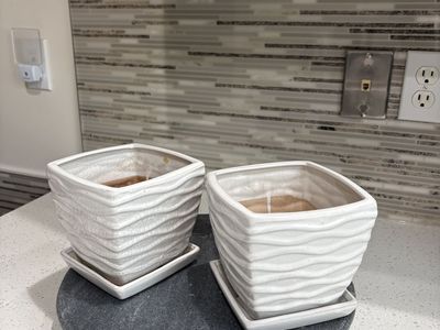 White ceramic planter pots