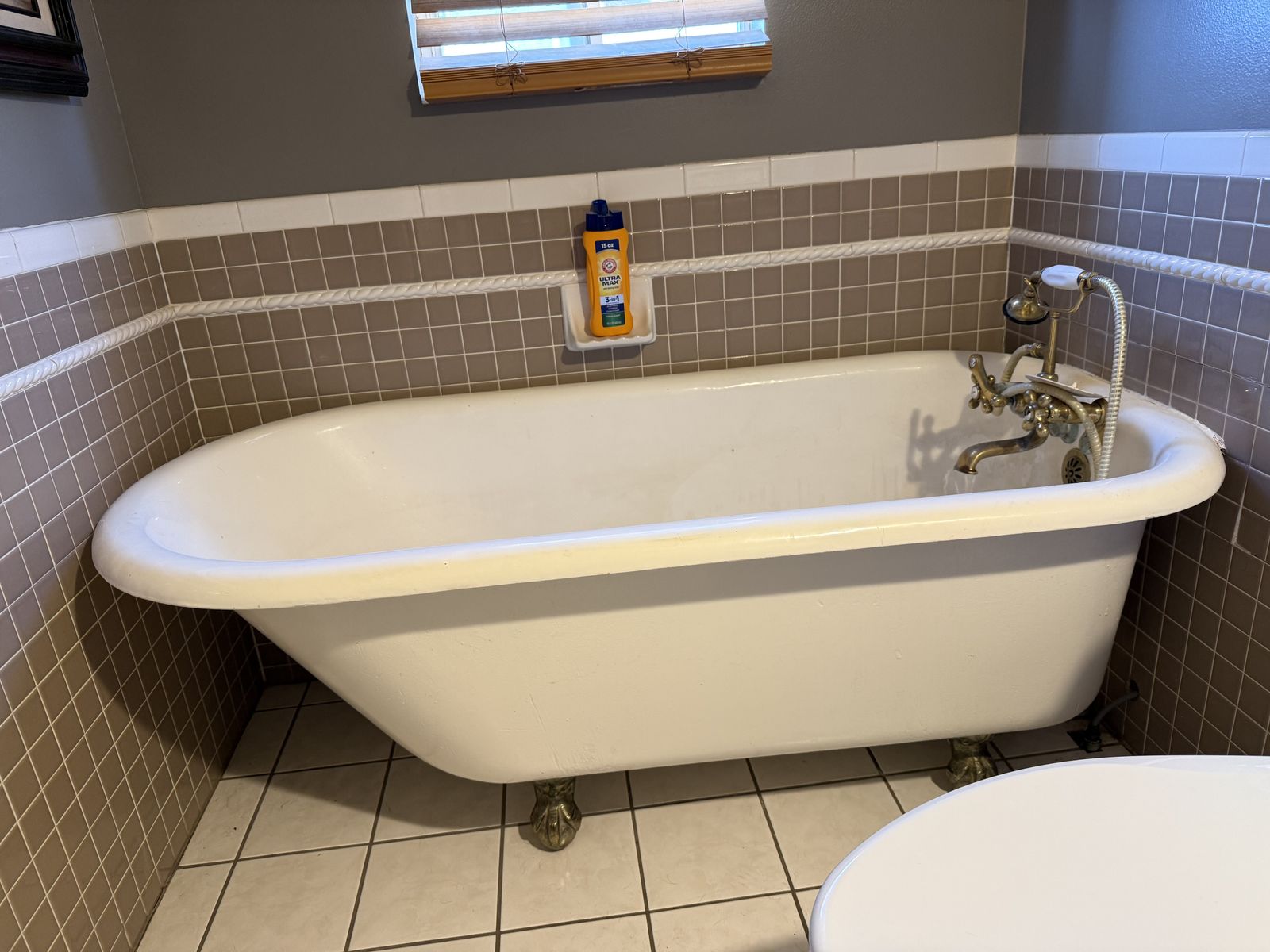 Cast iron antique claw foot tub