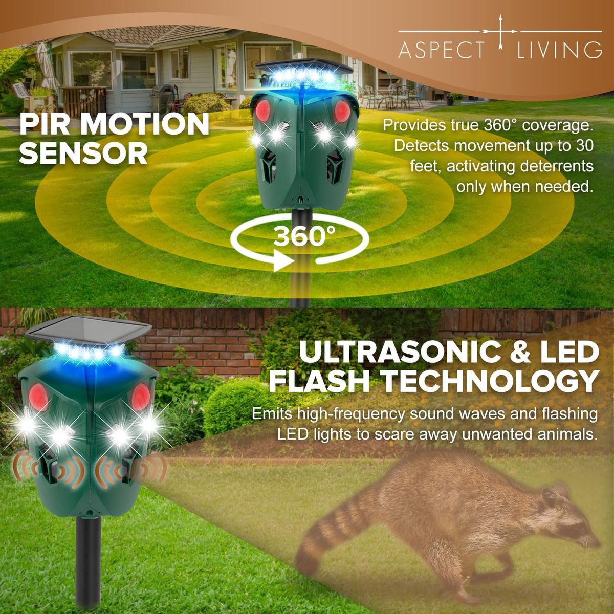 Main image 4