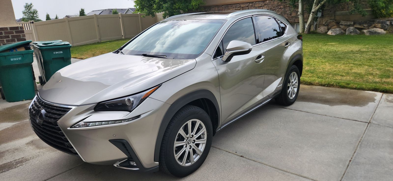 2019 Lexus NX 300 Base