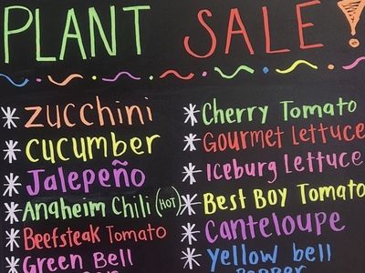 Plant Sale TODAY ONLY