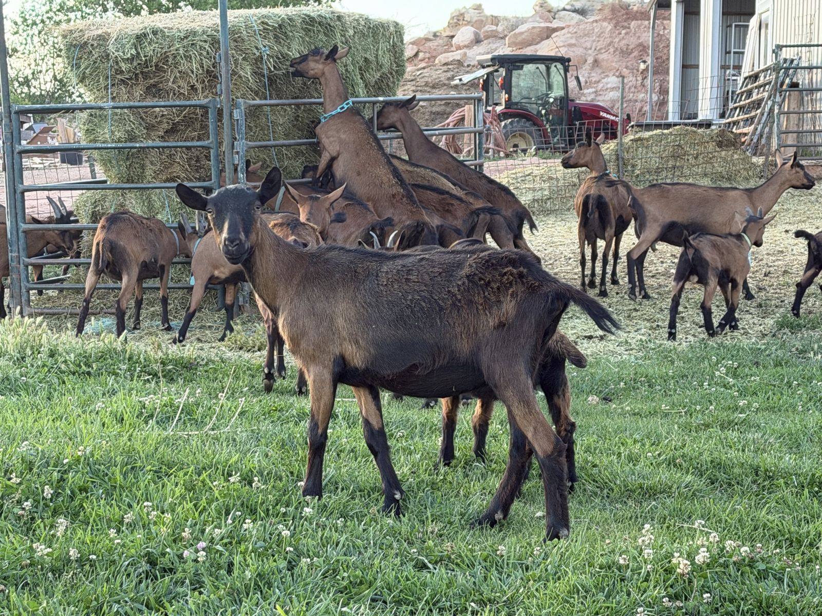 Main image 6