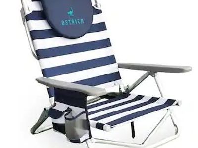 New Ostrich On Your Back Sand Chair