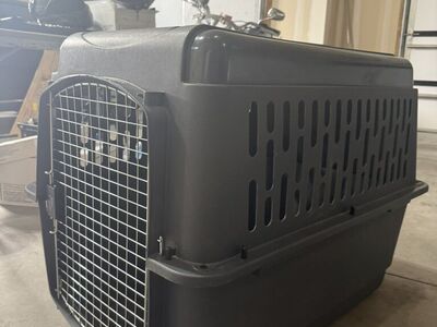 Large Dog Kennel