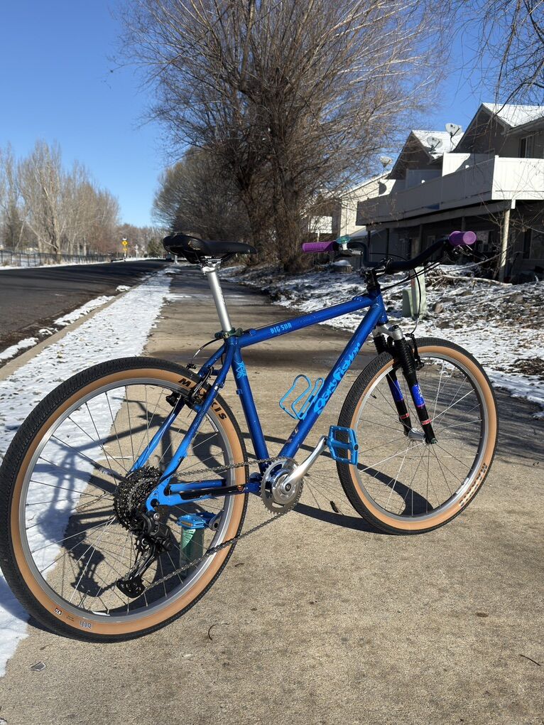 Custom Vintage 1998 Gary Fisher Big Sur size S/M