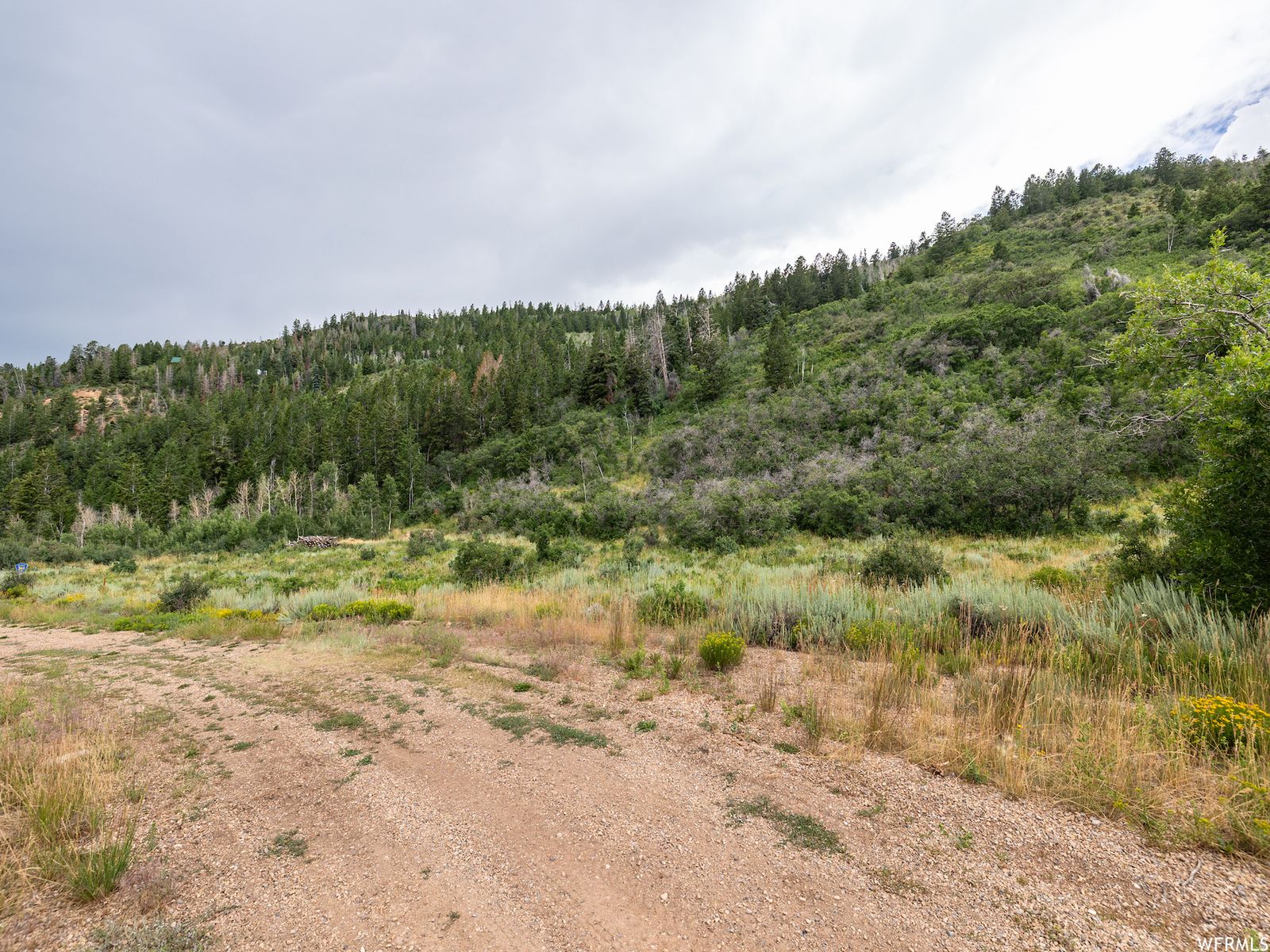 Main image 10
