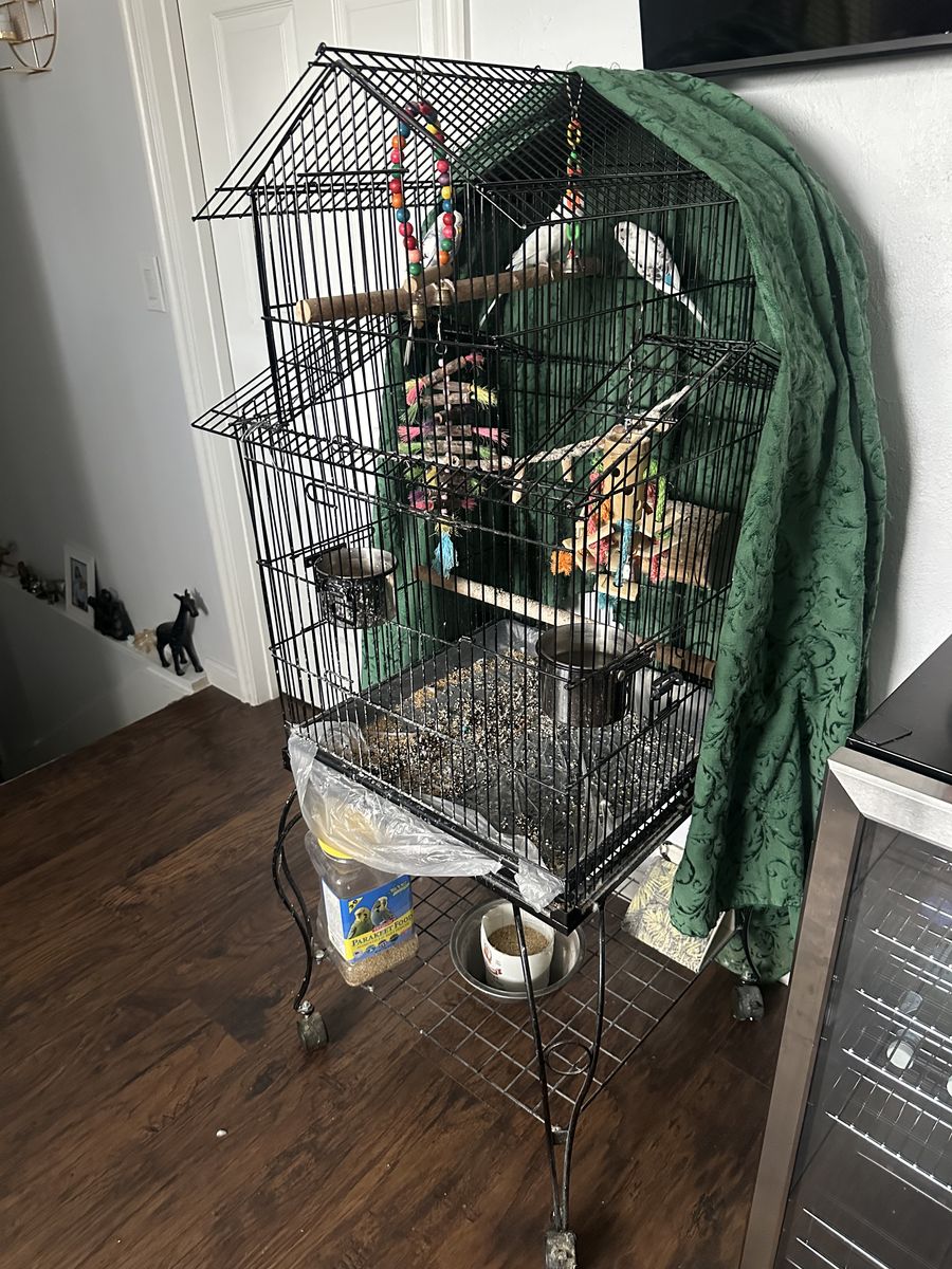 Bird Cage For Sale