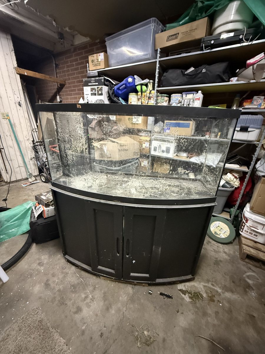75 gallon bowfront fish tank
