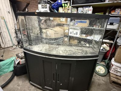 75 gallon bowfront fish tank