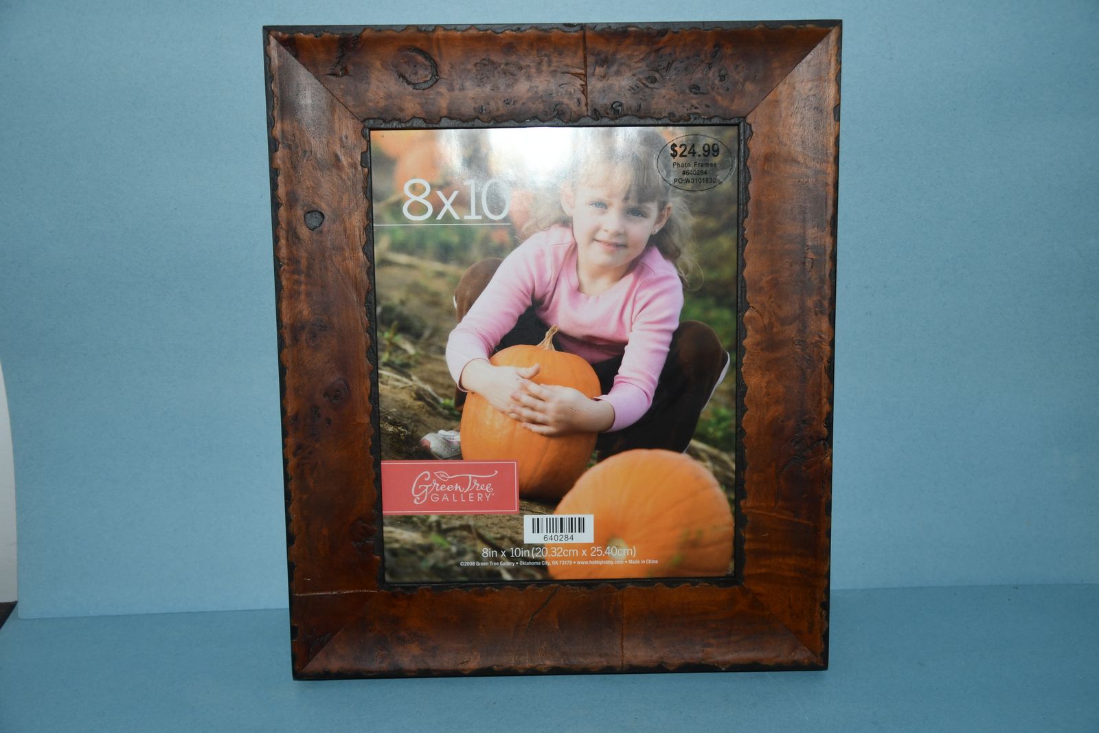 NEW 8" x 10" PICTURE FRAME ~ EASEL BACK or HANGERS ~ BEAUTIFUL, UNIQUE FRAME