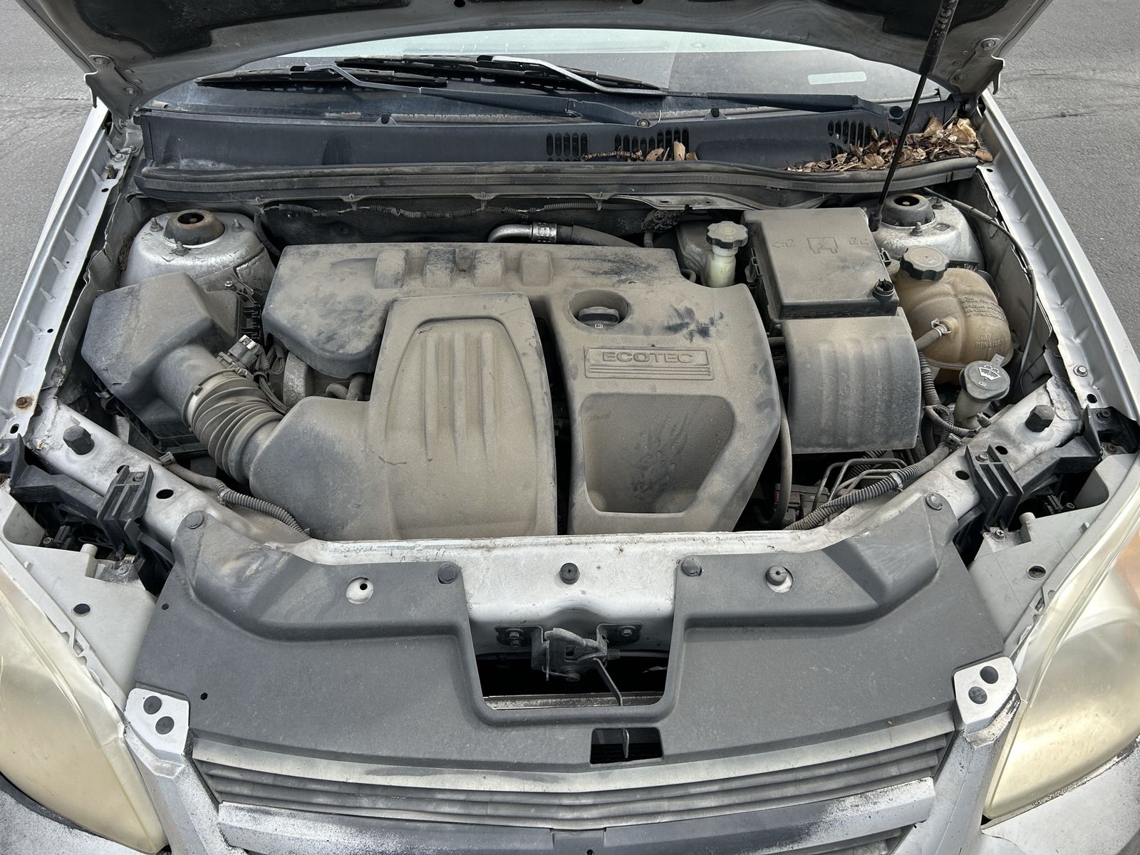 Main image 9