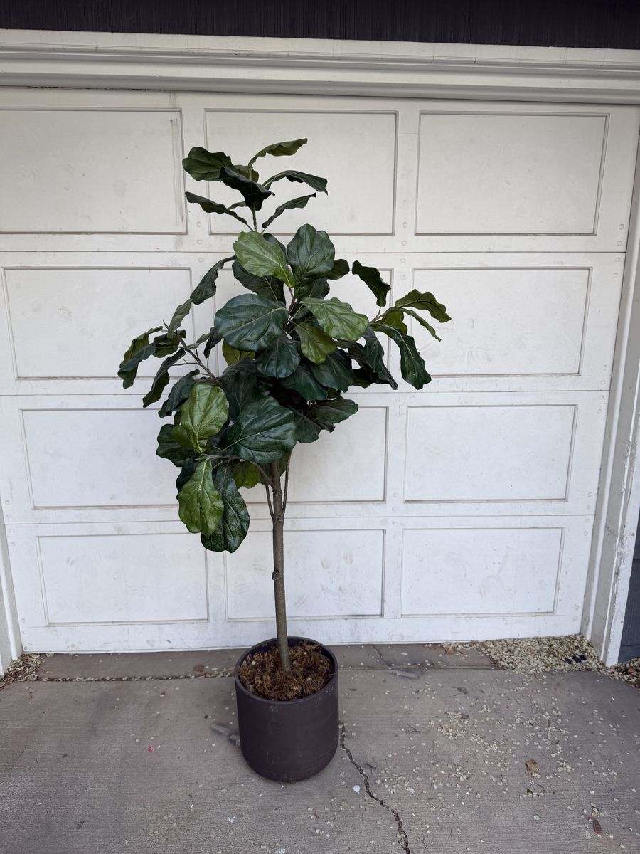 Faux Fiddle Leaf Tree
