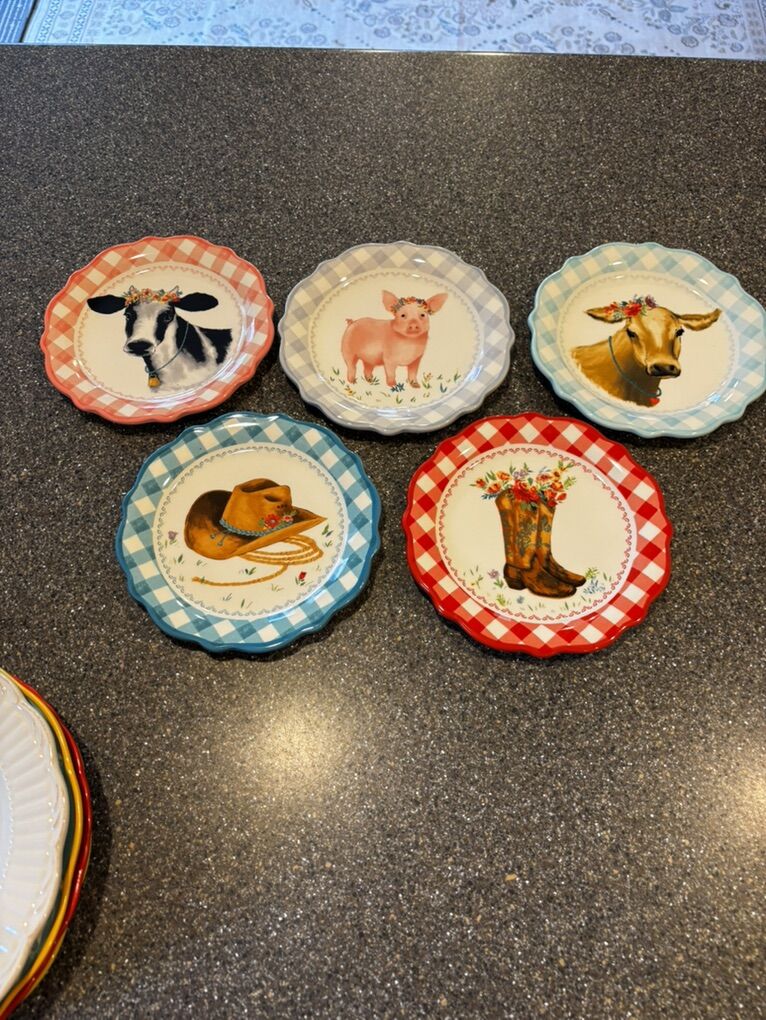 5 Pioneer Woman Plates