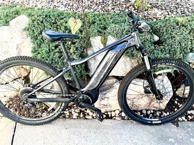 Women’s LIV Tempt E+ Mountain Road Bike Electric Bicycle Giant Silver Trade