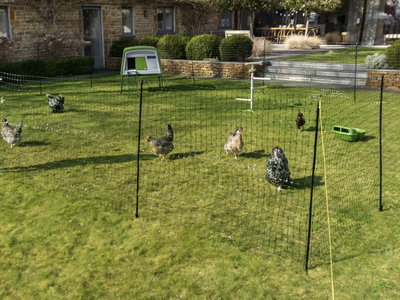 Omlet Chicken Fencing High Poultry Netting with Door
