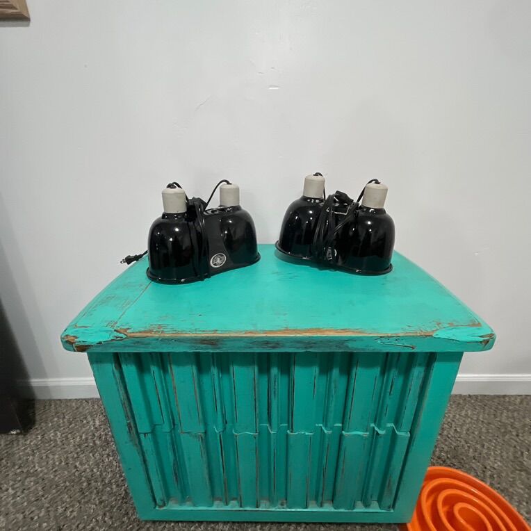 dual dome lights $15 a piece