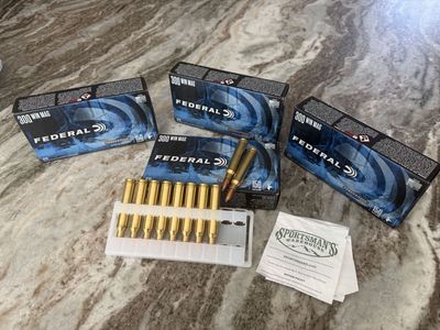 300 Winchester Mag Ammo 150 grain