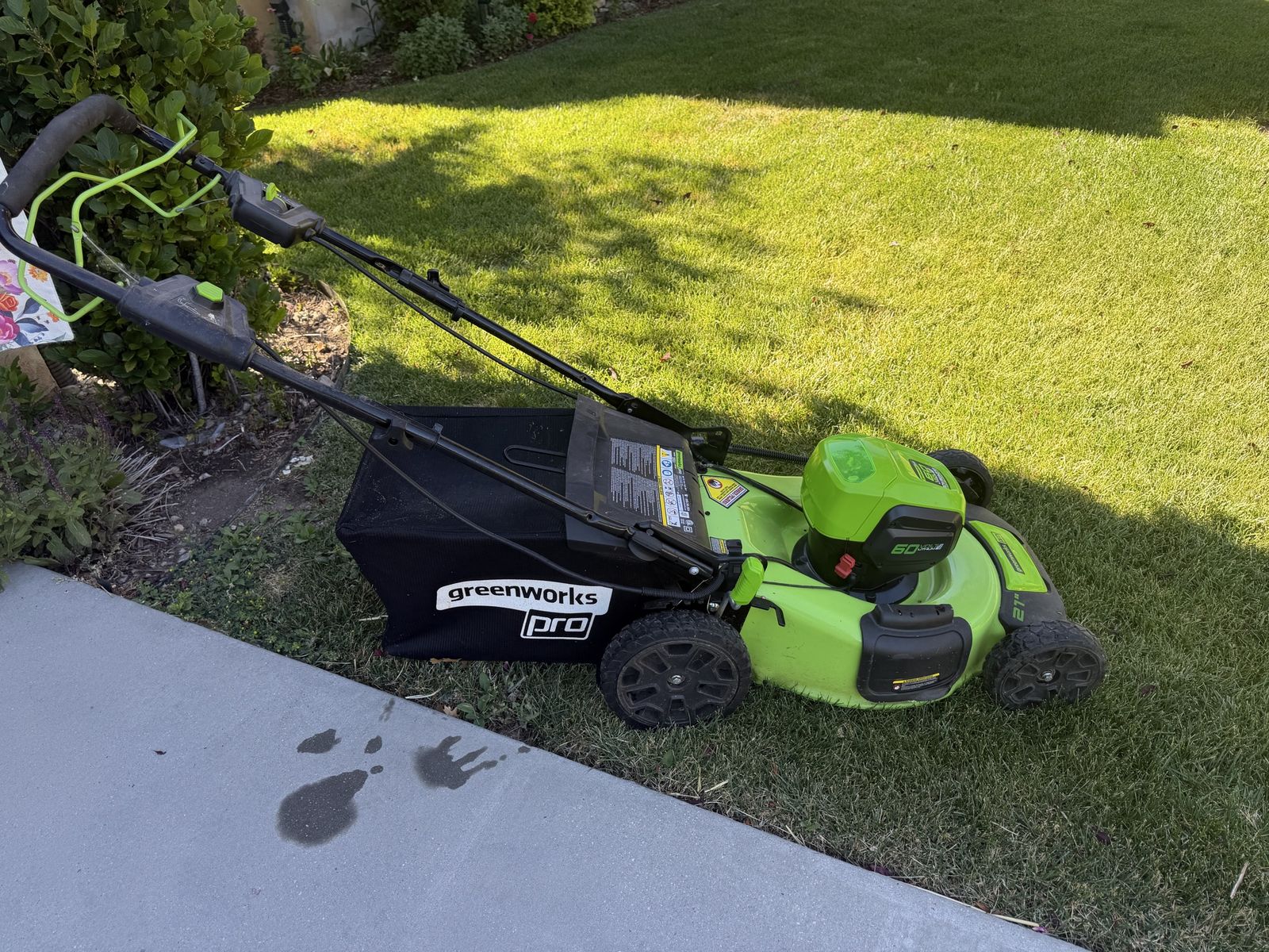 Main image 2