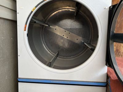 Professional Dryer