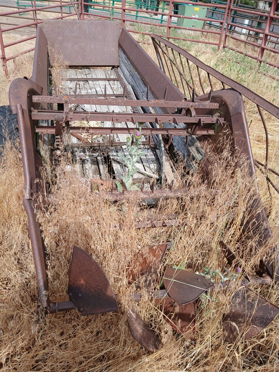 Main image 5