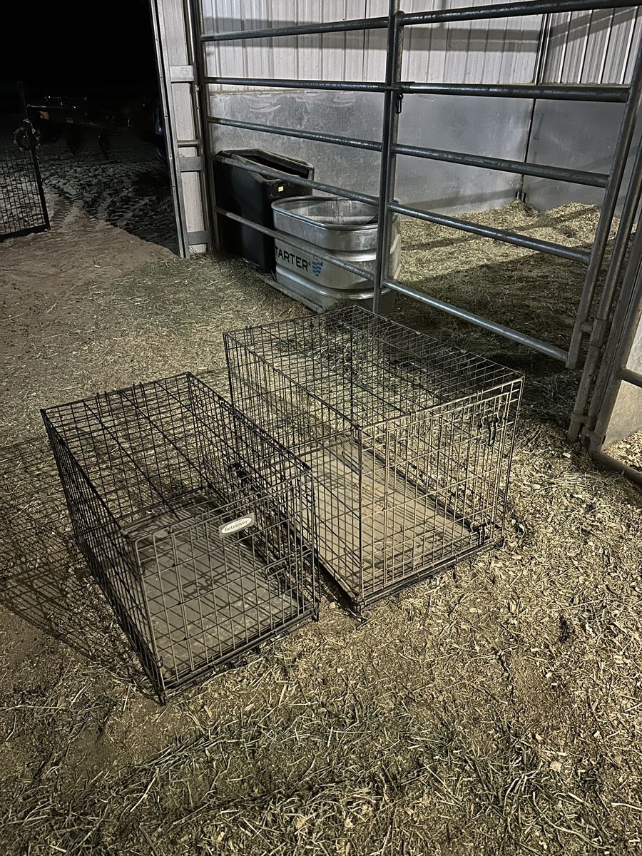 Collapsible kennels