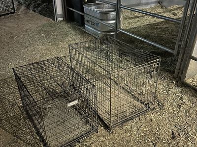 Collapsible kennels