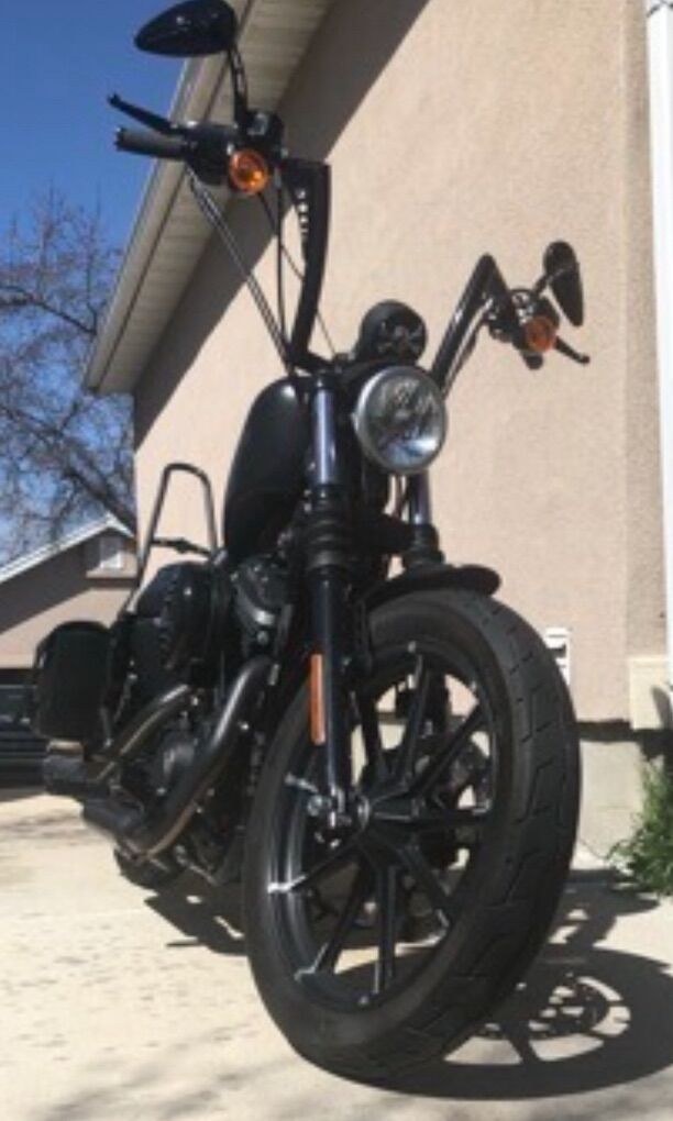 2017 Harley Davidson Iron 883