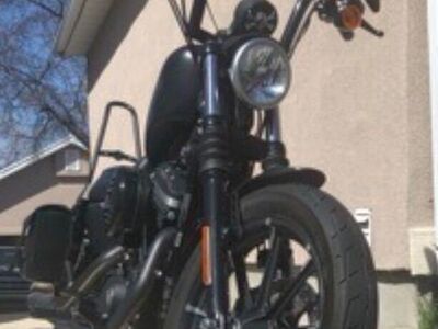 2017 Harley Davidson Iron 883