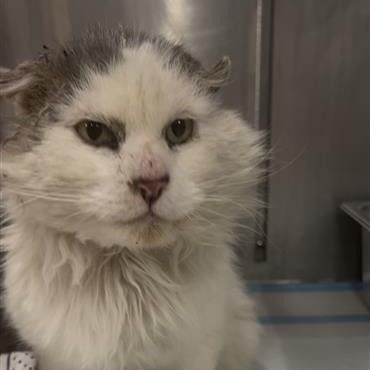 Hello my name is Slater