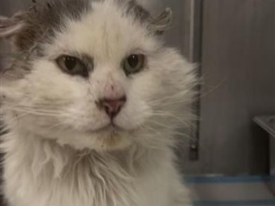 Hello my name is Slater