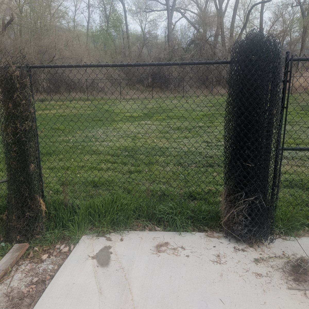 6' black chain link fence