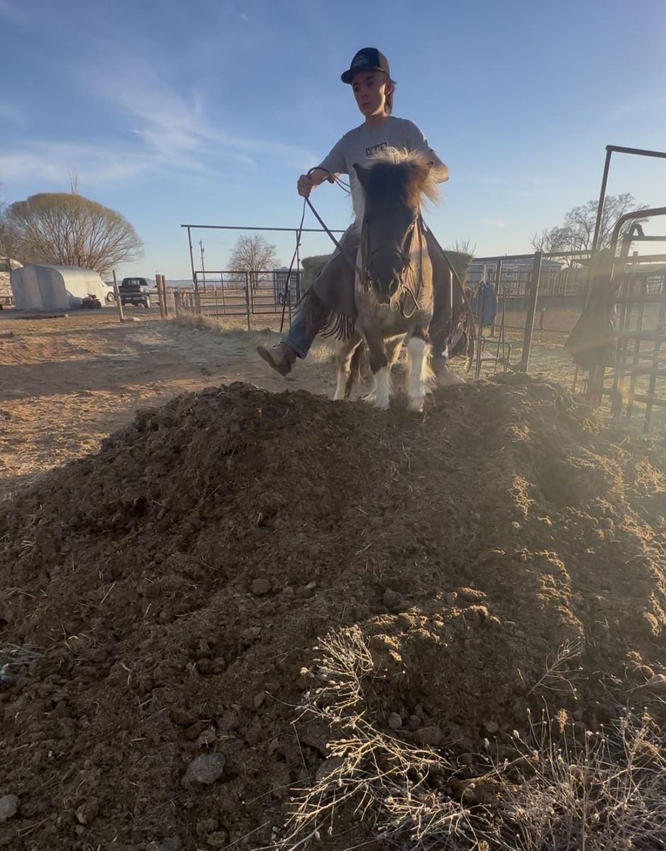 Pony breaking service